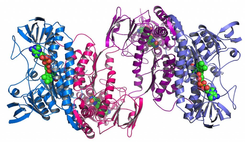 1000th protein structure